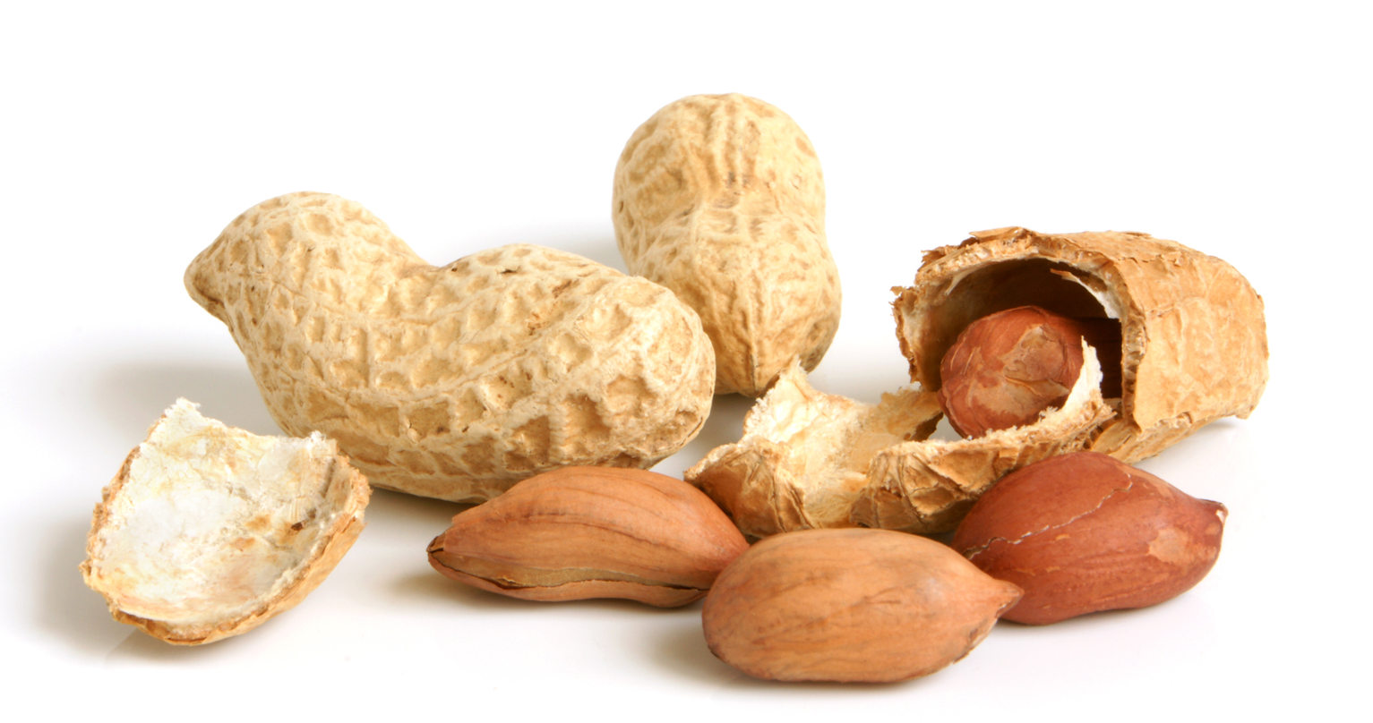 PEANUTS IN SHELL